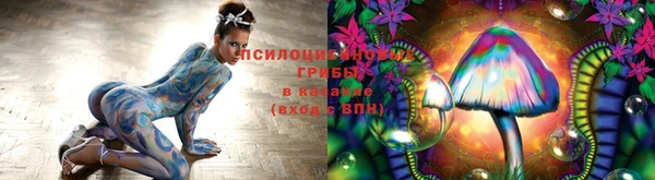 альфа пвп Алзамай