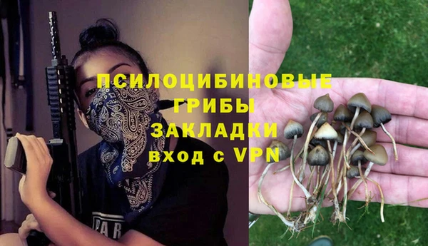 ECSTASY Алексин