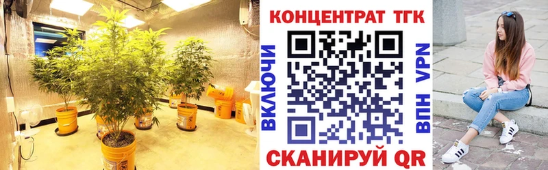 Купить  Лакинск  ТГК THC oil 